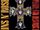 Guns N' Roses - Appetite For Destruction (NEW 12