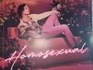 Darren Hayes - Homosexual 2xLP 
