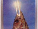 REO Speedwagon – You Can Tune A Piano, But You Can't Tuna Fish 1978 Epic LP EX
