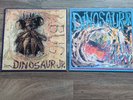2 x Dinosaur JR Bug LP u. Maxi Just like heaven The Cure Cover Indie Wave Gothic
