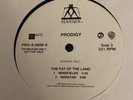 The Prodigy The Fat Of The Land Pre-Release Promo 12
