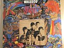 Flat Earth Society - Waleeco - Vinyl Album Reissue 2007 Lightning Tree LFLP 018