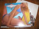THE BEACH BOYS - RARITIES - CAPITOL RECORDS LP