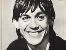 Iggy Pop Lust For Life Vinyl Record VG+/VG+
