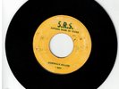 #93 ROOTS REGGAE 45 S.R.S. LABEL I ROY 