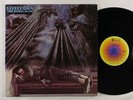 Steely Dan 