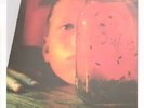 Alice In Chains Jar Of Flies Tri Color Vinyl 2024 Band Exclusive, Ltd. Ed.