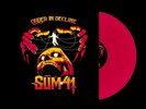 Sum 41 Order in Decline (Vinyl) 12