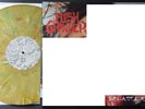 Flesh Grinder – S.P.L.A.T.T.E.R. LP VINYL DEATH METAL 2015 CADAVER VOMIT TOP