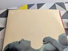 Beady Eye BE Vinyl