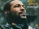 Marvin Gaye - What's Going On Vinyl Record LP Tamla 180g Album
