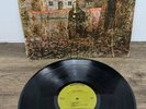 Black Sabbath Self Titled Debut Vinyl LP 1970 Warner Bros WS 1871 Green Label