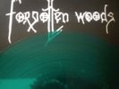 FORGOTTEN WOODS -sjel av natten- Vinyl (GREEN) MLP orig. No Colours 1999