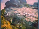 # Band of Horses - Mirage Rock - 12
