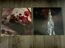 Silversun Pickups - Carnavas & Swoon SIGNED Vinyl LP LOT
