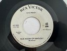 Elvis Presley RARE Promo 45 RCA 447-0601  Sun 