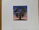 Talk Talk ‎– Laughing Stock  UK POLYDOR 1991  Original Initial Pressing