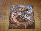 HAND AUTOGRAPHED 1970s VG++ Gerry Rafferty – Night Owl 958 LP33