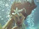 Original Analog EXOTICA - LES BAXTER: Jewels Of The Sea, Ed1 Stereo - Near Mint