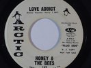 Northern Soul/Funk 45 HONEY & THE BEES Love Addict/I'll Be There on Arctic promo