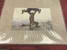 Shellac- Dude Incredible 12” LP Black Vinyl