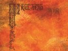 And You Will Know Us By The Trail Of Dead Source Tags & Codes Orange Translucent