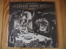 OKKERVIL RIVER Black Sheep Boy 2005 Vinyl LP Grizzly Bear Deerhunter Iron & Wine