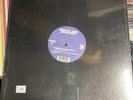 SUNSPOT JONZ “Unleashed” 12