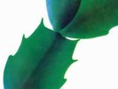 Hiroshi Yoshimura | Clear Green Swirl Vinyl. Vinyl LP | Green  |