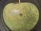 THE BEATLES HELP1 SOUNDTRACK APPLE PRESSING ERROR 1975 USA