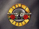 GUNS N' ROSES - Greatest Hits  (180g DOUBLE VINYL LP, 2020) **NEW**