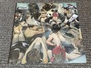 Panda Bear – Person Pitch Vinyl Record SEALED 2xLP Black 2022 Animal Collective