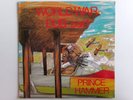 PRINCE HAMMER WORLD WAR DUB PART 1 BABY MOTHER AP LP 9007 REGGAE DUB