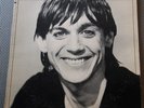 IGGY POP LUST FOR LIFE VINYL ORIGINAL 1977 LP INSERT RCA AFL1-2488 BOWIE 1ST