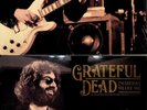 THE GRATEFUL DEAD Candyman, Live Oakland 1991 Vol.1 & 2 NEW 4-LP Vinyl Set