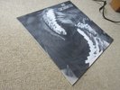 Groundhogs Split LP 1st Press [Ex+/Ex-] High QUALITY** +FULL LAMINATION