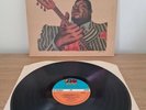 Albert King King Of The Blues Guitar
