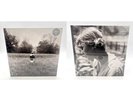 Bundle For camaga46: TAYLOR SWIFT Folklore Running Like Water & Stolen Lullabies