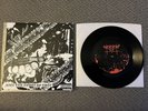 Vothana Forlorn Winds 7” Split