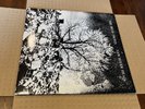 Bevis Frond New River Head 2-LP vinyl record (Double Album) UK