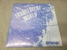 STRANGE Translucent World OUTER GALAXIE Psych 1973 VG+ VINYL LP Record USED