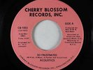 Funk/Sweet Soul 45 - Acoustics - So Frustrated - Cherry Blossom - VG+