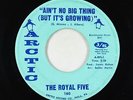 Crossover Soul 45 - Royal Five - Ain't No Big Thing - Arctic