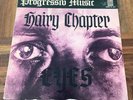 HAIRY CHAPTER EYES VINYL LP 1970 EX/NM  ++ krautrock guru kraan brainticket ++