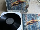 The Stone Roses What The World Is Waiting For / Fools Gold 12” Vinyl Inc Print