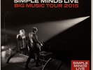SIMPLE MINDS - Big Music Live 2xLP Red Vinyl RSD 2016 VG+ / Records EX