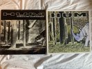 Hum Electra 2000 vinyl record album original first pressing with jay ryan print