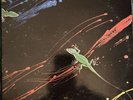 Chameleon Techno-Color Vinyl LP Record Yanni 1982 EX/VG+ 40876 POSTER & FAN CLUB