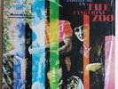 The Tangerine Zoo 
