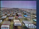 Pink Floyd - A Momentary Lapse Of Reason (LP, Album, Gat) 1987 NM or M- Vinyl Sc